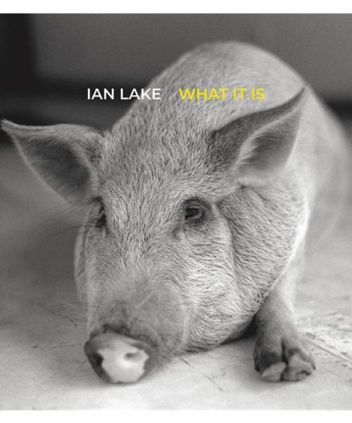 Actor, Singer/Songwriter Ian Lake Releases New Album “What It Is”