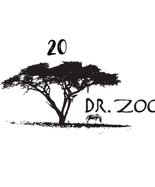 PEI-Based Global Music Act DR. ZOO Celebrates 20th Anniversary with Buoyant “We May Win”